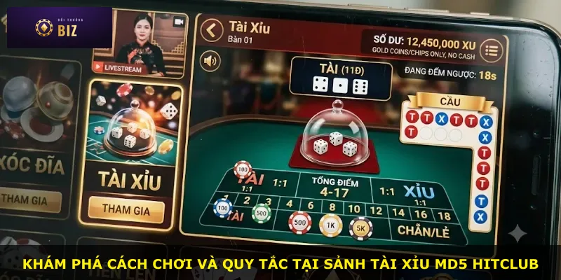 Khám phá cách chơi và quy tắc tại sảnh Tài xỉu MD5 Hitclub